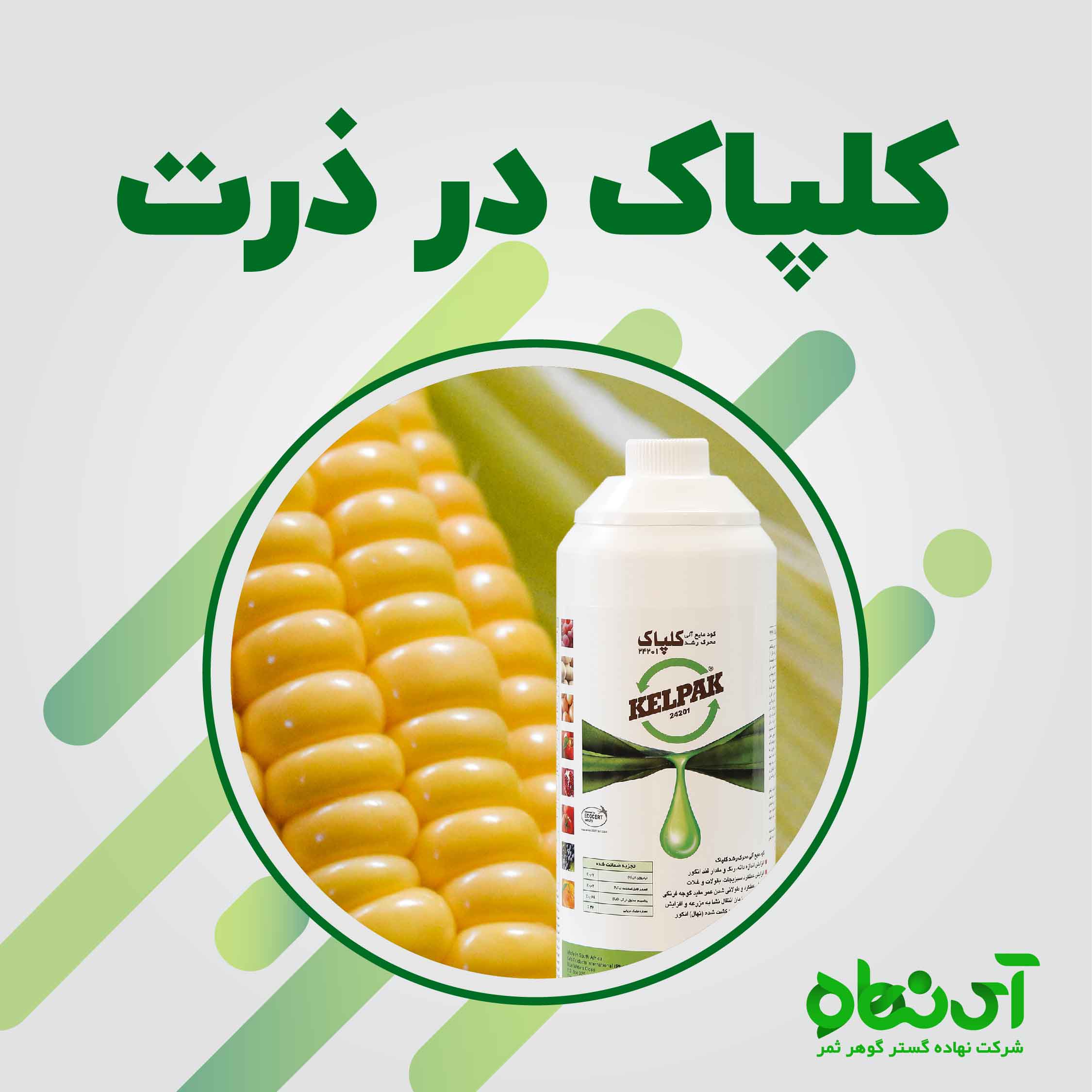 کلپاک در ذرت - آی نهاده